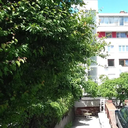 In The Center